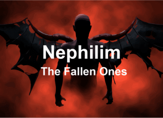 The Nephilim are they fallen angels?