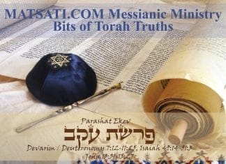 Bits of Torah Truths, Parashat Ekev, Encouraged by the Faithfulness of Our Father in Heaven