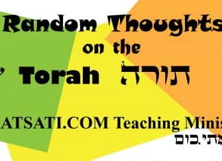 Insights from the Dead Sea Scrolls – The Torah and the Rod of Correction