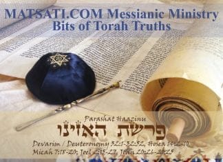 Bits of Torah Truths, Parashat Haazinu, The Joy of Torah