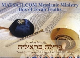 Bits of Torah Truths, Parashat Bereshit, A Miracle of Midrashic Proportions