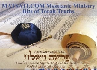 Bits of Torah Truths, Parashat Vayishlach, Be Diligent to Seek God’s Ways