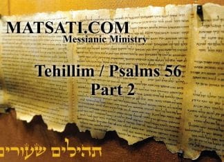 Tehillim / Psalms 56, Part 2, Giving Credit where Credit is Due