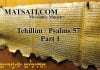 Tehillim / Psalms 57, Part 1, In the Shadow of His Wings