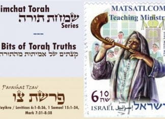 Bits of Torah Truths, Parashat Tzav, The ‘easy’ Mentality