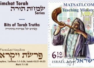 Bits of Torah Truths, Parashat Vayikra, Sacrifices for the Glory of God