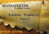 Tehillim / Psalms 63, Part 1, Thirsting for the Lord in Heaven