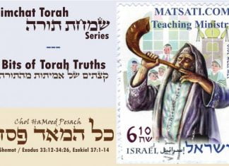 Bits of Torah Truths, Chol Hamoed Pesach, Are you Breaking the Covenant?