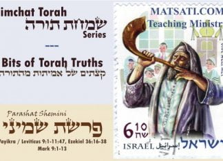 Bits of Torah Truths, Parashat Shemini, Standing in God’s Court
