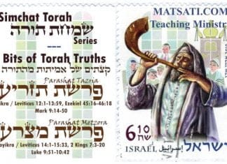 Bits of Torah Truths, Parshiot Tazria and Metzora, The Hidden meaning of Leprosy