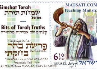 Bits of Torah Truths, Parshiot Behar and Bekhukotai, The Goel of Israel