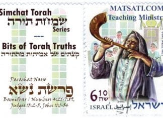 Bits of Torah Truths, Parashat Nasso, To bring a Korbanah