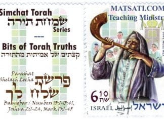 Bits of Torah Truths, Parashat Shelach Lecha, Am I allowed to have an Opinion?
