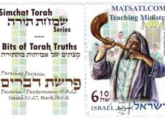 Bits of Torah Truths, Parashat Devarim, Truth and Preception