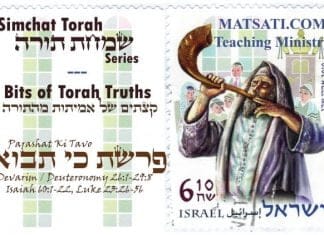 Bits of Torah Truths, Parashat Ki Tavo, Am Segolah, A Treasured People