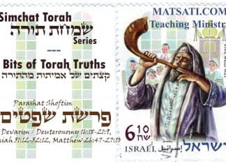 Bits of Torah Truths, Parashat Shoftim, What is the Meaning of an Obligation?
