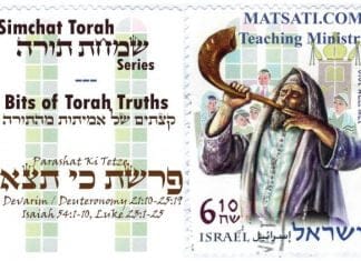 Bits of Torah Truths, Parashat Ki Tetzei, The Death Penalty according to the Torah