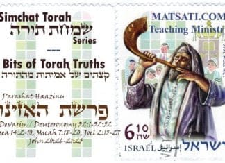 Bits of Torah Truths, Parashat Haazinu, To deny yourself, take up your cross, and the Torah