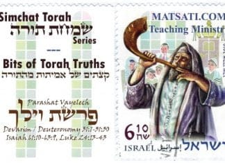 Bits of Torah Truths, Parashat Vayelech, Salvation in the Name