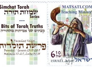 Bits of Torah Truths, Parashat Toldot, What was it about Esau that the Lord hated?