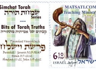 Bits of Torah Truths, Parashat Vayishlach, To Walk in the Stubbornness of our Hearts