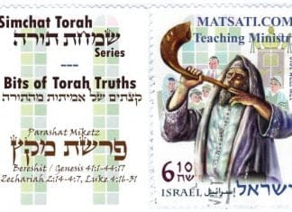 Bits of Torah Truths, Parashat Miketz, Believing, Speaking, and Acting according to our Faith