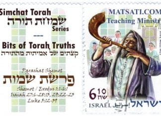 Bits of Torah Truths, Parashat Shemot, What’s in a Name?