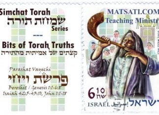 Bits of Torah Truths, Parashat Vayechi, The extra portion Jacob gave to Joseph