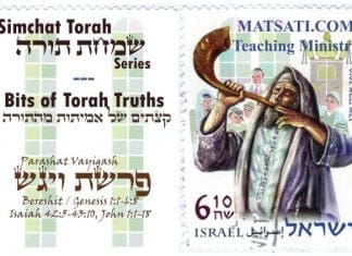 Bits of Torah Truths, Parashat Vayigash, What is Your Spiritual Condition?