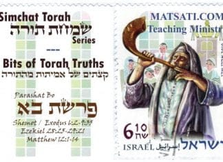Bits of Torah Truths, Parashat Bo (פרשת בא), What does it mean to “Seek First the Kingdom of Heaven?”
