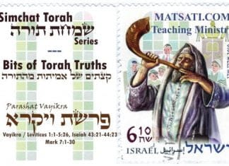 Bits of Torah Truths, Parashat Vayikra, פרשת וַיִּקְרָא, The Transformation of the Sacrifice