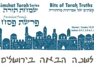 Bits of Torah Truths, Parashat Pesach, Salvation by Lamb or Goat?