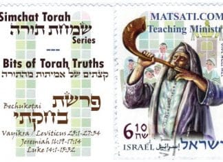 Bits of Torah Truths, Parashat Bekhukorai, פרשת בְּחֻקֹּתַי, Do you Spurn the Commandments?