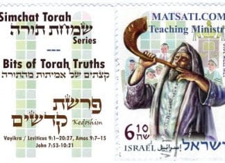 Bits of Torah Truths, Parashat Kedoshim, פרשת קדשים , Holiness and being Counted Worthy of the Calling