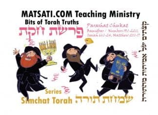 Bits of Torah Truths, Parashat Chukat, פרשת חֻקַּת, The meaning of Simchat Torah, the Joy of Torah