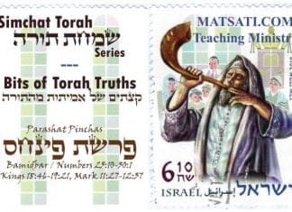 Bits of Torah Truths, Parashat Pinchas, פרשת פִּינְחָס, Keeping your mouth shut in the midst of sin