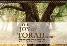 Book Release – Bits of Torah Truths, The Joy of Torah