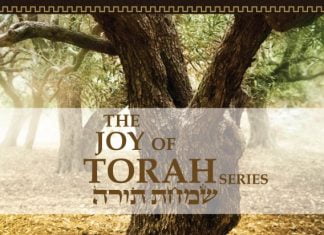 Book Release – Bits of Torah Truths, The Joy of Torah
