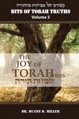 BTT_Joy_of_Torah