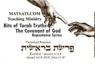 Bits of Torah Truths, פרשת בראשית Parashat Bereshit, The Significance of the Duality of Man as a Combination of Neshamah (נשמה) and Nefesh (נפש)