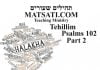 Tehillim / Psalms 102, ספר תהילים קב, Part 2, The poor and living stones