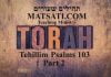 Tehillim / Psalms 103, ספר תהילים קג, Part 2, Yeshua and Torah