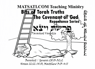 Bits of Torah truths, Parashat Vayetze, פרשת ויצא, What does it mean: “Hearing from the Lord requires Torah?”