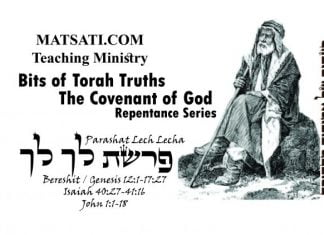 Bits of Torah Truths, Parashat Lech Lecha, פרשת לך לך, The Function of Faith in Our Lives