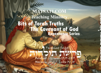 Bits of Torah Truths, Parashat Toldot, פרשת תולדות, Two Nations Striving… How does this Relate to Us?