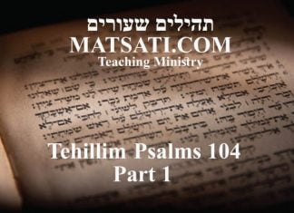 Tehillim / Psalms 104, ספר תהילים קד, Man, a Combination of Neshamah (נשמה) and Nefesh (נפש)