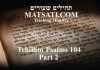 Tehillim / Psalms 104, ספר תהילים קד, Part 2, Man, a Combination of Neshamah (נשמה) and Nefesh (נפש)