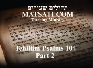 Tehillim / Psalms 104, ספר תהילים קד, Part 2, Man, a Combination of Neshamah (נשמה) and Nefesh (נפש)