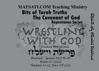 Bits of Torah Truths, Parashat Vayishlach, פרשת וישלח, Relying upon the Merit of Others?