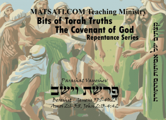 Bits of Torah Truths, Parashat Vayeshev, פרשת וישב, What are You Looking For? (מַה-תְּבַקֵּשׁ)